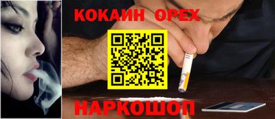 дмт Будённовск
